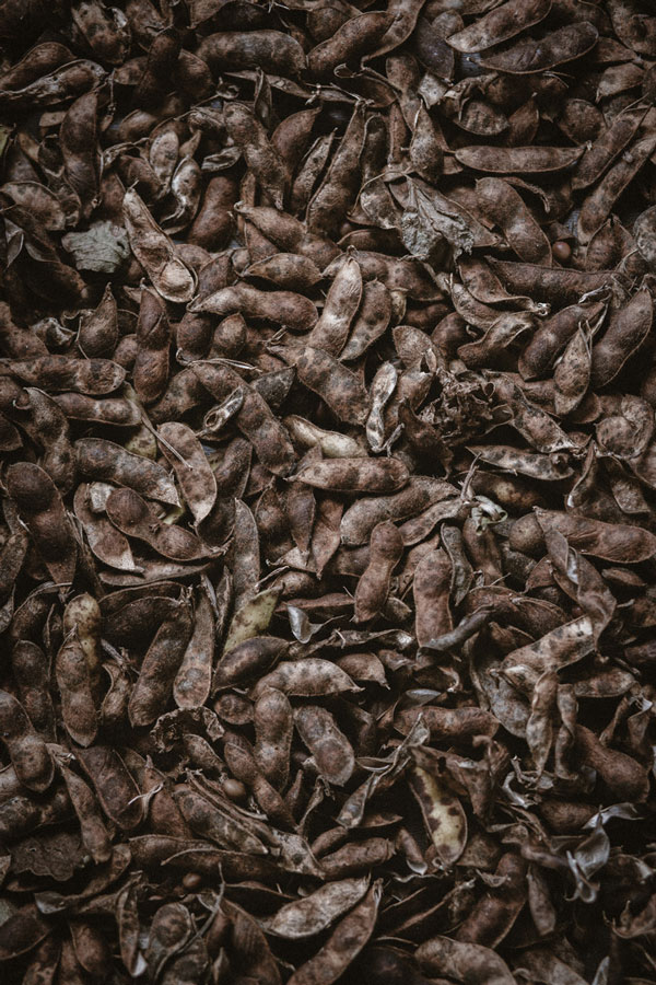 farm-shop-dry-edamame